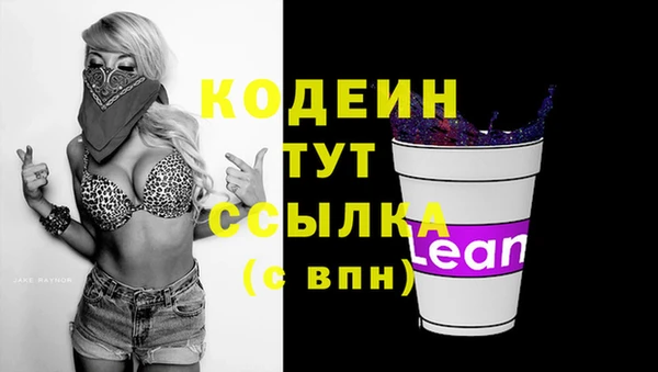 ПСИЛОЦИБИНОВЫЕ ГРИБЫ Вяземский
