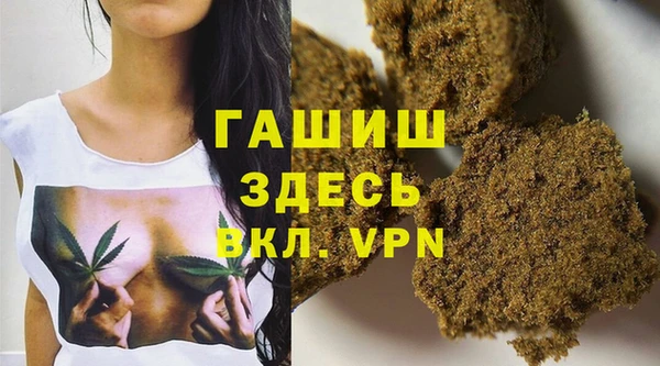 ПСИЛОЦИБИНОВЫЕ ГРИБЫ Вяземский