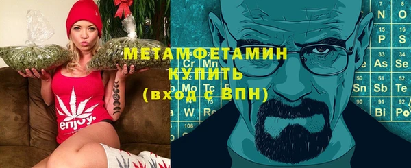 ПСИЛОЦИБИНОВЫЕ ГРИБЫ Вяземский
