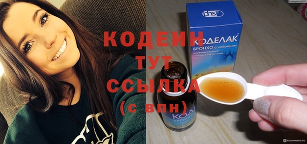 ПСИЛОЦИБИНОВЫЕ ГРИБЫ Вяземский