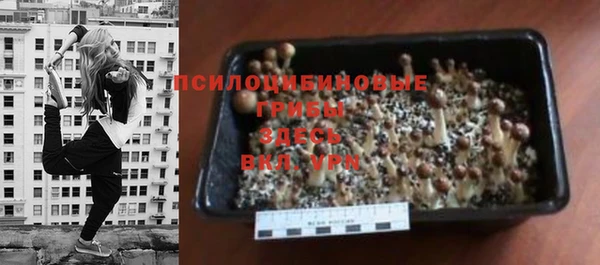 jwh Вязники