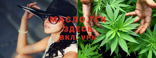 ПСИЛОЦИБИНОВЫЕ ГРИБЫ Вяземский
