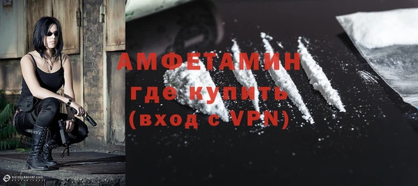 ПСИЛОЦИБИНОВЫЕ ГРИБЫ Вяземский